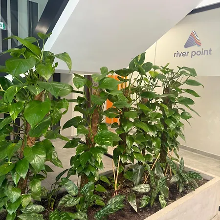 Luna Deluxe Old Town Mieszczanska 24 Free Parking Lejlighed Wrocław