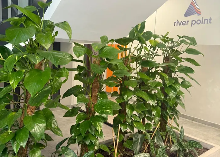 Luna Deluxe Old Town Mieszczanska 24 Free Parking Apartment Breslau